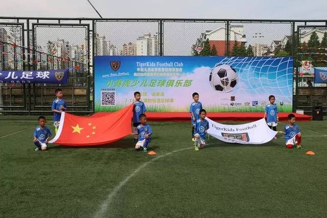 适应性以及 适应性以及